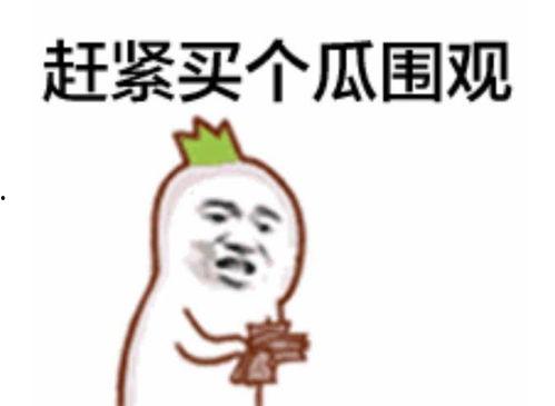 吃瓜群众恐慌视频播放,揭秘背后真相!