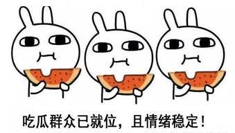 吃瓜吗很甜搞笑,瓜甜笑料多，欢乐无限