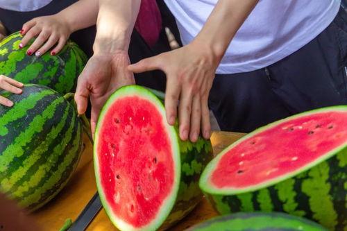 学校楼道吃瓜,瓜田里的青春故事