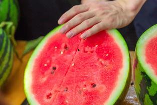 学校楼道吃瓜,瓜田里的青春故事