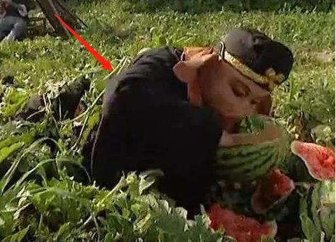 学校楼道吃瓜,瓜田里的青春故事