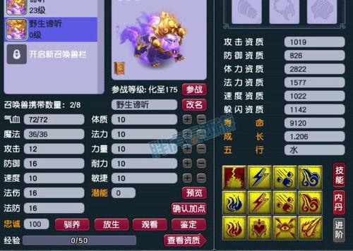 梦幻西游吃瓜网友,吃瓜网友热议,揭秘游戏背后的精彩故事