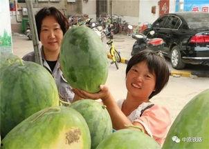 小区吃瓜事件揭秘,真相与背后的故事