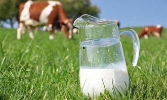 吃瓜喝奶粉,探寻健康生活的甜蜜秘诀