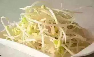 春吃豆芽夏吃瓜,春豆芽、夏瓜果,养生之道