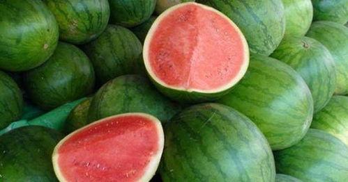 吃瓜吃瓜怎么回复女生,轻松应对女生话题的幽默回复技巧