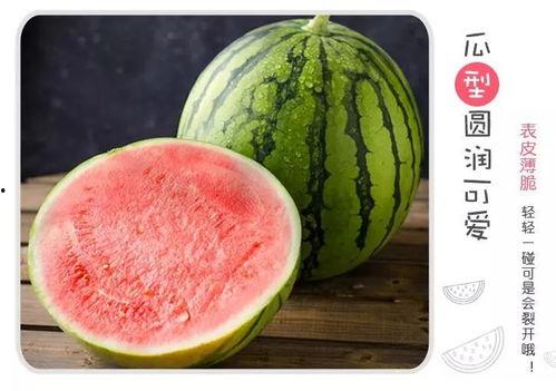 吃瓜甜蜜,尽享夏日美味