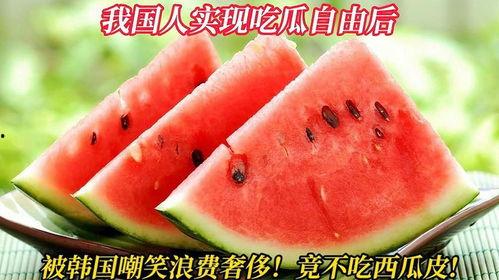 自由吃瓜人,揭秘现代人的休闲态度