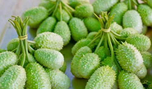 什么瓜最受人欢迎吃,揭秘最受喜爱的瓜类美食