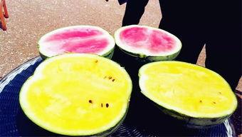 最近吃瓜爆料大全,娱乐圈风云再起,揭秘明星幕后故事