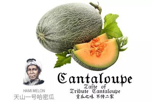 热门吃瓜小品推荐,让你笑到肚子疼