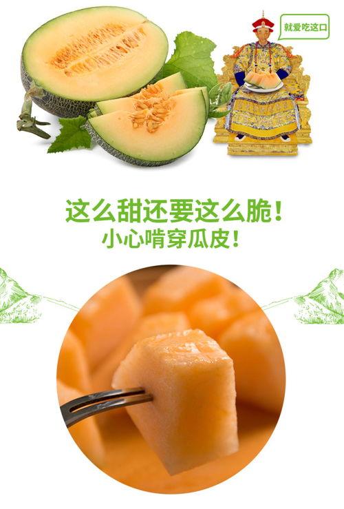 热门吃瓜小品推荐,让你笑到肚子疼