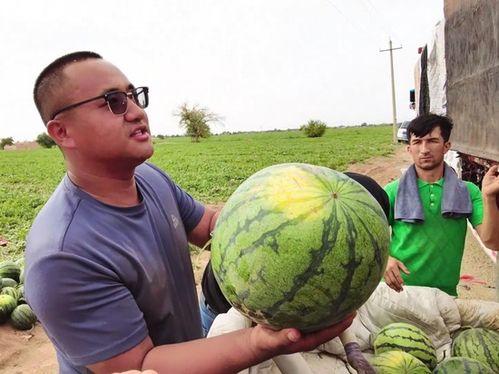 余姚吃瓜照片,全民共享夏日清凉时光