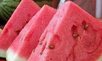 在电脑上吃瓜,揭秘网络时代的“吃瓜”文化