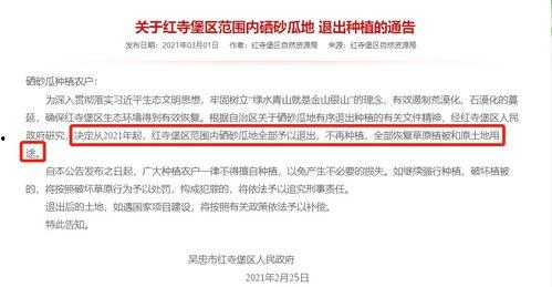 明年吃瓜犯法吗,吃瓜群众需警惕,明年吃瓜犯法了吗?