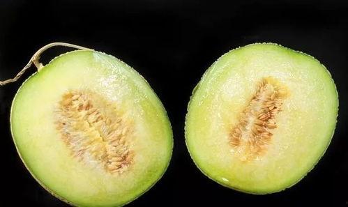 吃瓜惹的烦恼,揭秘网络八卦背后的烦恼与反思