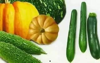 摘瓜吃瓜配乐有哪些歌,盘点那些令人陶醉的瓜田配乐歌曲